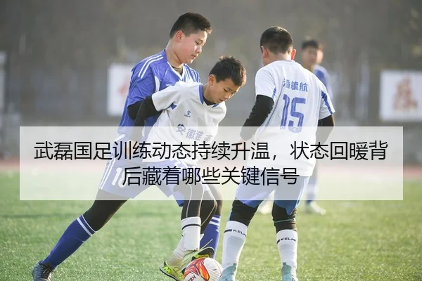 武磊国足训练动态持续升温，状态回暖背后藏着哪些关键信号